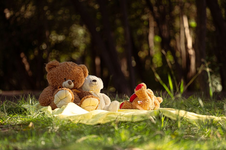 Teddy bears on a blanket in the grass